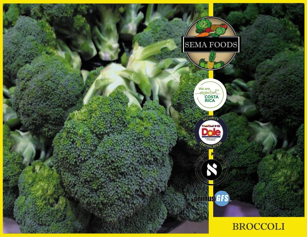 Brócoli