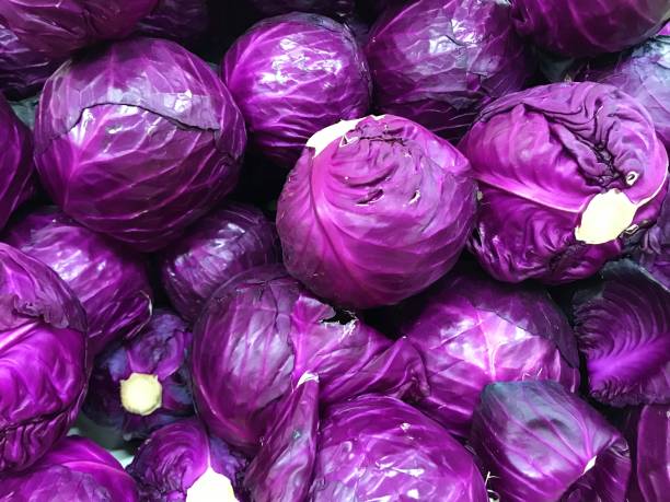 Repollo morado